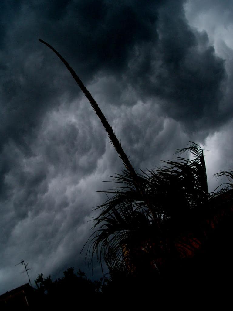 Avant l'orage
