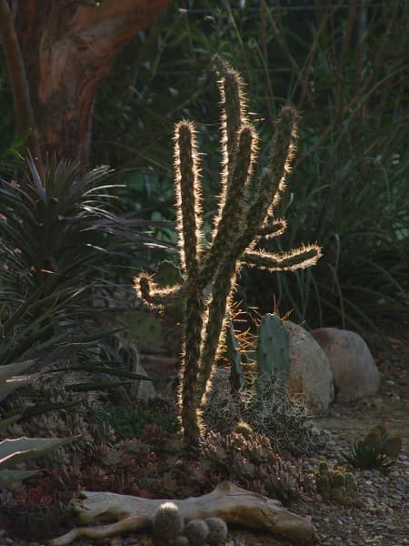 Exotica Tolosa - levée de soleil - oct 2013