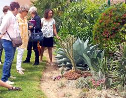 Amiez jardins de tournefeuille