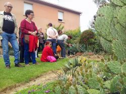 Amiz jardins de tournefeuille 2